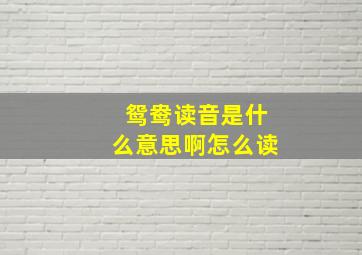 鸳鸯读音是什么意思啊怎么读