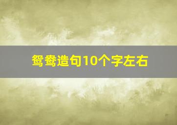 鸳鸯造句10个字左右