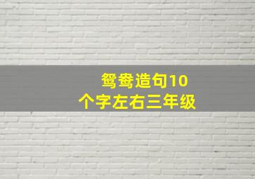 鸳鸯造句10个字左右三年级