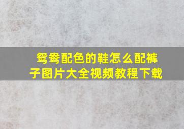 鸳鸯配色的鞋怎么配裤子图片大全视频教程下载