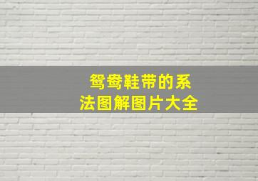 鸳鸯鞋带的系法图解图片大全