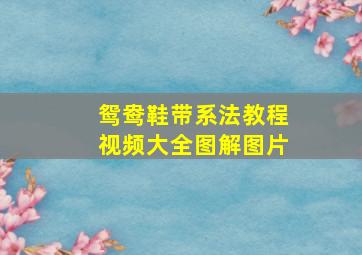 鸳鸯鞋带系法教程视频大全图解图片