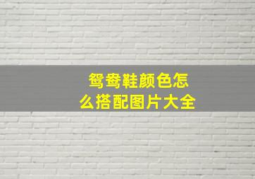 鸳鸯鞋颜色怎么搭配图片大全