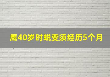 鹰40岁时蜕变须经历5个月