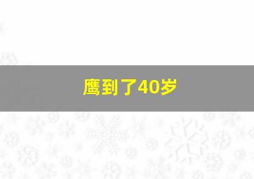 鹰到了40岁