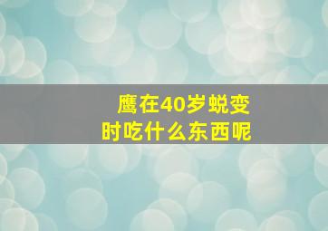 鹰在40岁蜕变时吃什么东西呢