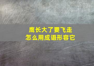 鹰长大了要飞走怎么用成语形容它