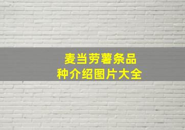 麦当劳薯条品种介绍图片大全