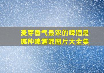 麦芽香气最浓的啤酒是哪种啤酒呢图片大全集