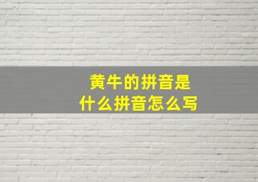 黄牛的拼音是什么拼音怎么写