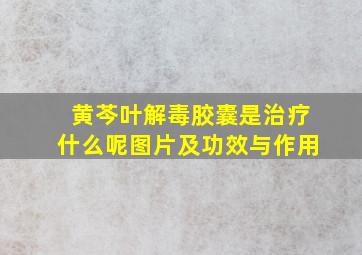 黄芩叶解毒胶囊是治疗什么呢图片及功效与作用