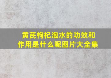 黄芪枸杞泡水的功效和作用是什么呢图片大全集