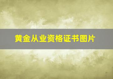 黄金从业资格证书图片