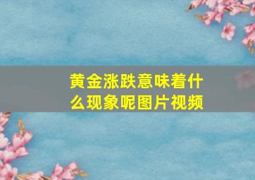 黄金涨跌意味着什么现象呢图片视频