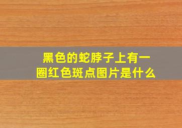 黑色的蛇脖子上有一圈红色斑点图片是什么