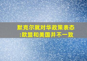 默克尔就对华政策表态:欧盟和美国并不一致