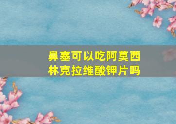 鼻塞可以吃阿莫西林克拉维酸钾片吗