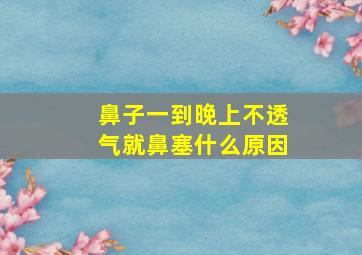 鼻子一到晚上不透气就鼻塞什么原因