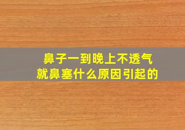 鼻子一到晚上不透气就鼻塞什么原因引起的