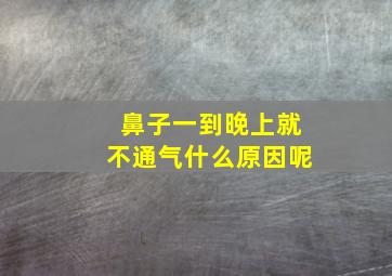 鼻子一到晚上就不通气什么原因呢