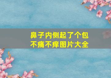 鼻子内侧起了个包不痛不痒图片大全