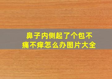 鼻子内侧起了个包不痛不痒怎么办图片大全