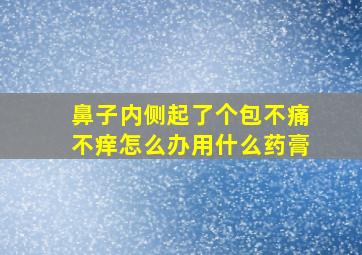 鼻子内侧起了个包不痛不痒怎么办用什么药膏