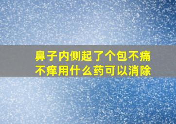 鼻子内侧起了个包不痛不痒用什么药可以消除