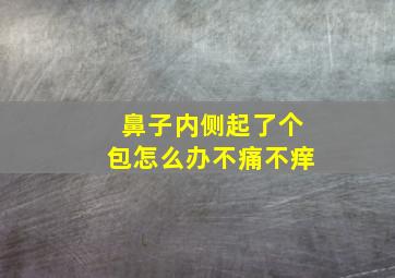 鼻子内侧起了个包怎么办不痛不痒