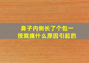 鼻子内侧长了个包一按就痛什么原因引起的