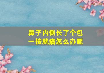 鼻子内侧长了个包一按就痛怎么办呢