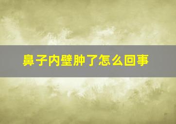 鼻子内壁肿了怎么回事