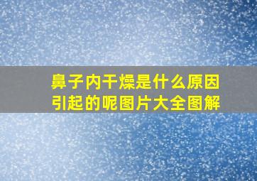 鼻子内干燥是什么原因引起的呢图片大全图解