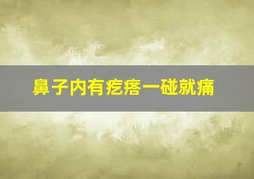 鼻子内有疙瘩一碰就痛