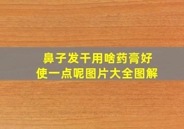 鼻子发干用啥药膏好使一点呢图片大全图解