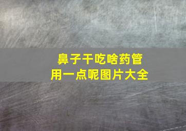 鼻子干吃啥药管用一点呢图片大全