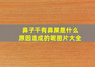 鼻子干有鼻屎是什么原因造成的呢图片大全