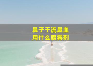 鼻子干流鼻血用什么喷雾剂