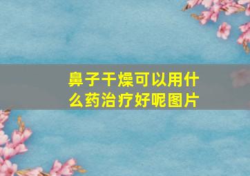 鼻子干燥可以用什么药治疗好呢图片