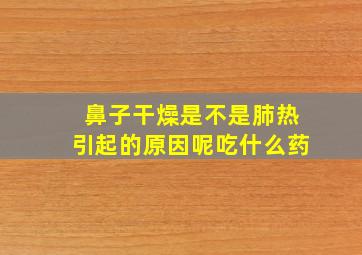 鼻子干燥是不是肺热引起的原因呢吃什么药