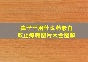 鼻子干用什么药最有效止痒呢图片大全图解