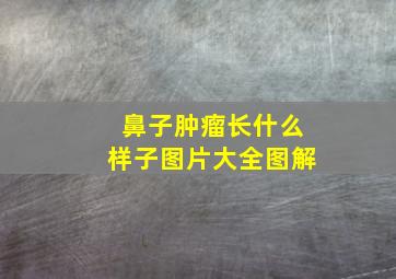 鼻子肿瘤长什么样子图片大全图解