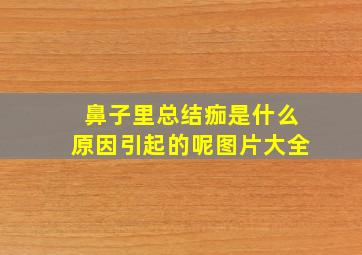 鼻子里总结痂是什么原因引起的呢图片大全