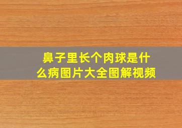 鼻子里长个肉球是什么病图片大全图解视频