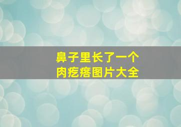 鼻子里长了一个肉疙瘩图片大全