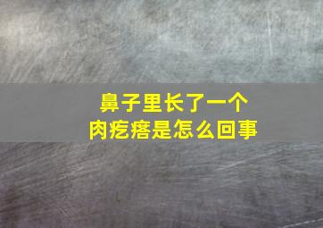 鼻子里长了一个肉疙瘩是怎么回事