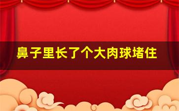 鼻子里长了个大肉球堵住