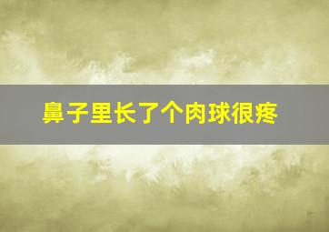 鼻子里长了个肉球很疼