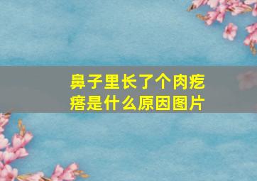 鼻子里长了个肉疙瘩是什么原因图片