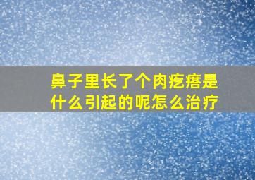 鼻子里长了个肉疙瘩是什么引起的呢怎么治疗